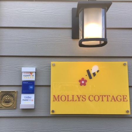 Mollys Cottage-The Suite On Vancouver Island Near Yyj Airport And The Wa And Bc Ferries North Saanich Extérieur photo